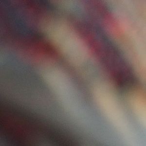 Meet your Posher, Loni